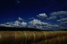Wolken (2).webp