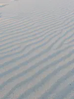 CIMG1327.webp