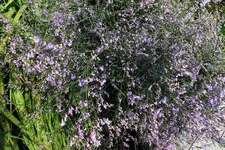 DSCF2862 (2).webp
