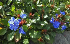 DSCF2861 (3).webp