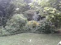 20150819_091223.webp