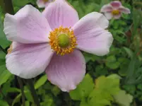 017.webp