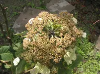012.webp