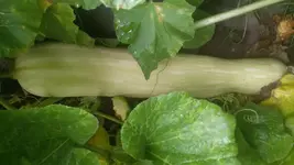 20150818_172912.webp