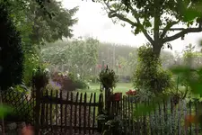 Garten im Morgennebel (1).webp