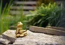 gold. Frosch.jpg