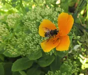 DSCF2859 (3).webp
