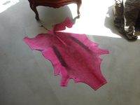 P1490612.webp
