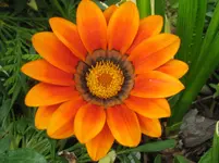 032.webp