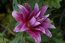 _DSC9084.webp