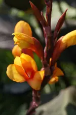 _DSC9078.webp