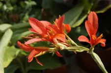 _DSC9079.webp