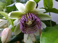 DSCF9432.webp