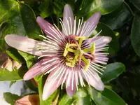 DSCF9419.webp