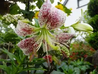 DSCF9366.webp