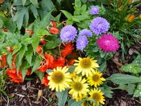 DSCF9359.webp