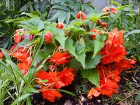 DSCF9361.webp