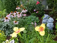 DSCF9417.webp