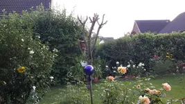 20150820_193243.webp