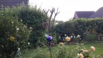 20150820_193243.jpg