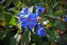 DSCF2865 (2).webp