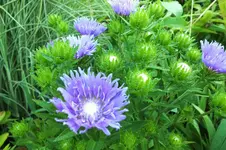 DSCF2900 (2).webp