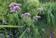 DSCF2902 (2).webp