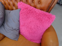 P1490615.webp