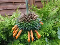 DSCF9451.webp