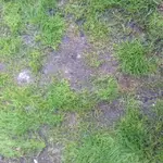image1.webp