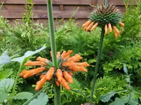 DSCF9449.webp