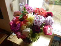 P1500371.webp