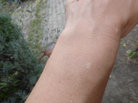 P1490222.webp