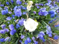Bilda176.webp