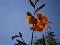 P8210117.webp