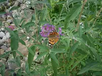 P8210120.webp