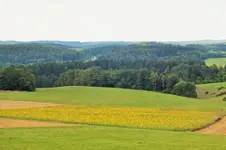 DSCF2924 (3).webp