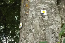 DSCF2931.webp