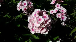 20150822_121912.webp