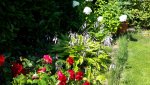 20150822_122139.jpg
