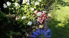 20150822_122210.jpg