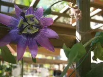 P8220133.webp