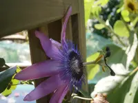 P8220134.webp