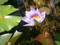 P8220140.webp