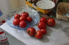 tomaten.jpg