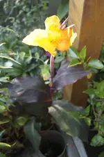 _DSC9104.webp