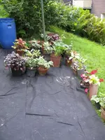 001_600x800.webp