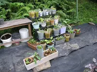 003_1067x800.webp