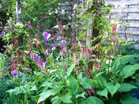 DSCN9651.webp