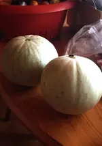 Honigmelonen.webp
